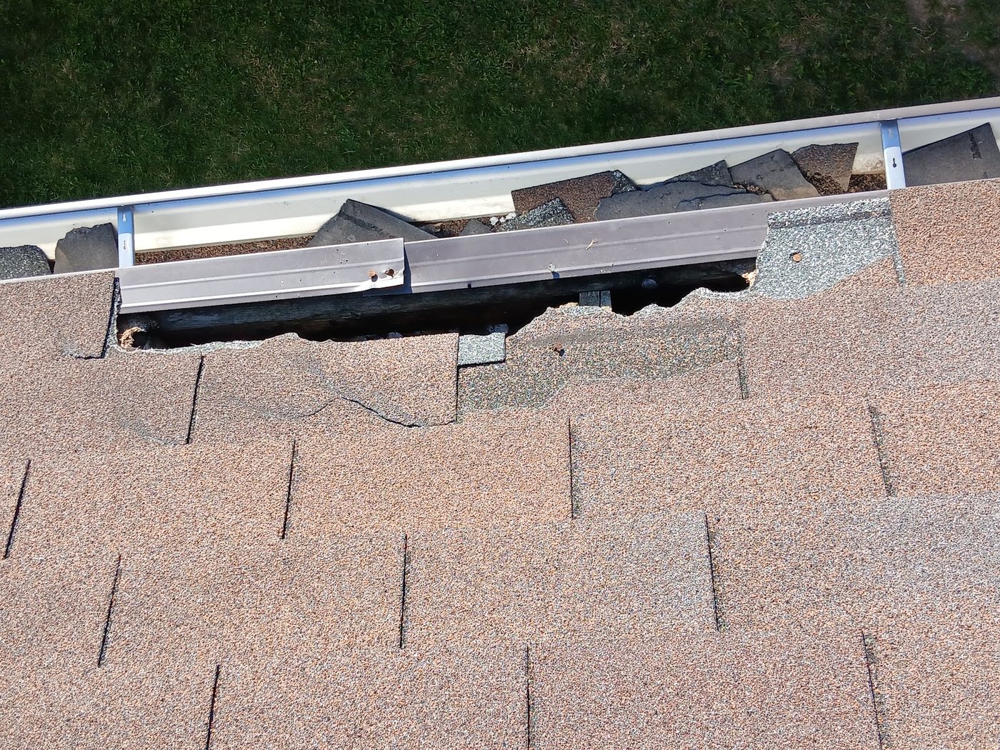 Damaged roof shingles and gutter line where an animal forced an entry point